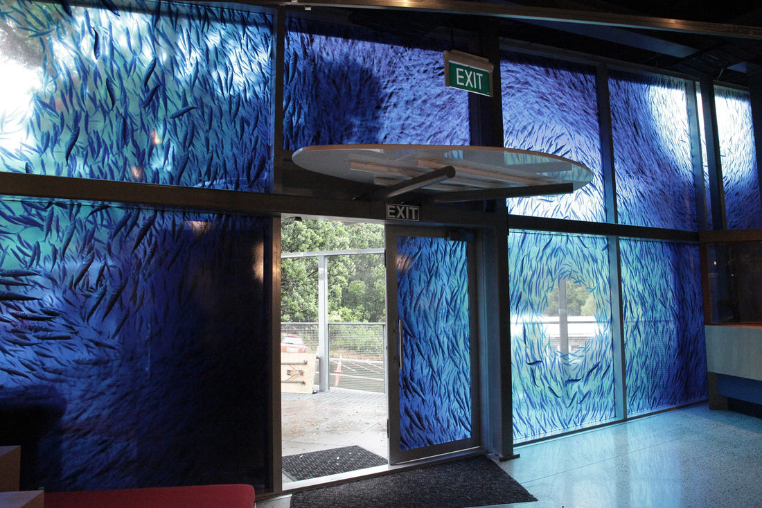 DualVision: Custom Privacy & Decorative Film