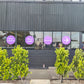 Promotional Window Decals