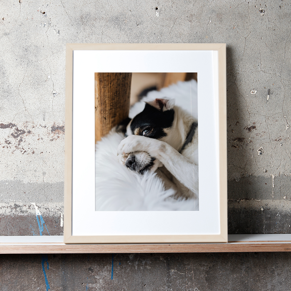 Natural Gallery Framed Print